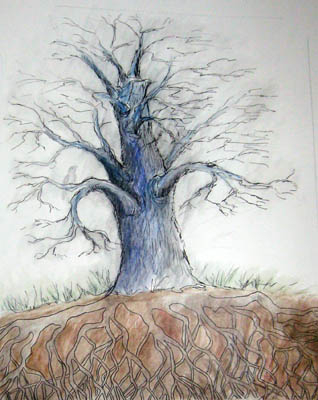 100 Springs - pen and watercolor pencil