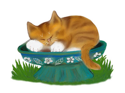 Birdbath Cat Nap