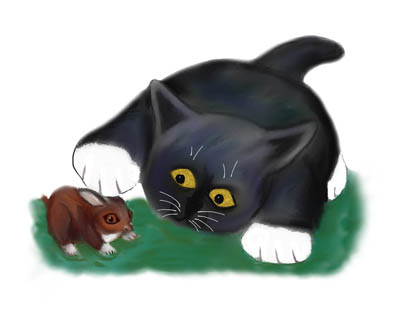 Black and White Tuxedo Kitten Pets his Friend, Bunny