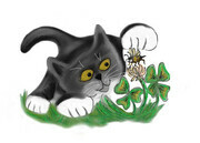 Black Tuxedo Kitten Chases a Bee over the Clover