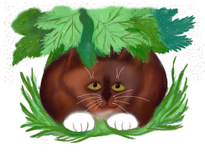 Brown Tuxedo Cat Shelters under Maple Leaves When it Sprinkles