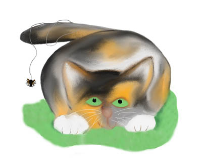Calico Kitten has a Spider Hanging from her Tail