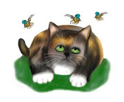 Calico Kitten watches Three Bees