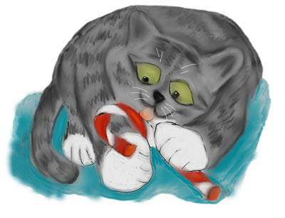 Candy Cane and Grey Tiger Kitten