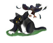 Crow vs. Kitten