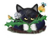 Dandelion flowers and Black & White Tuxedo Kitten
