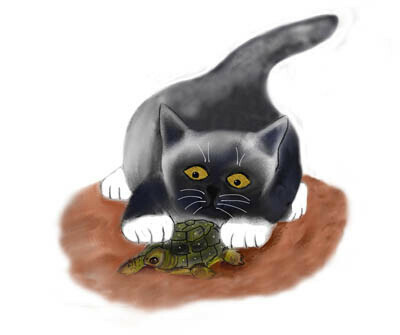 Dark Grey Kitten Discovers a Turtle by the Pond