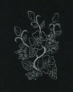 Floral in White Ink