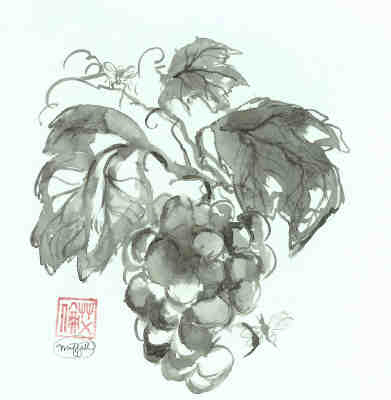 Grape Study