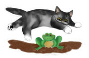 Gray Kitten Jumps over Frog