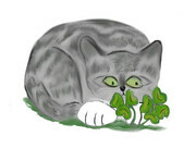 Grey Tiger Kitten Finds a Four Leaf Clover
