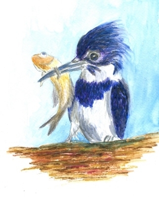 Kingfisher Snack