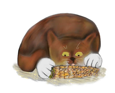 Kitten Enjoys Eating Corn on the Cob