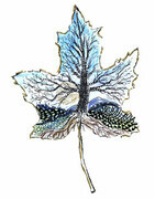 Maple Leaf - Zen Ink