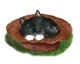 Nap in Straw Hat for Kitty and Mouse