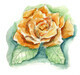 Orange Rose - watercolor penci