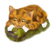Orange Tiger Kitten Licks a Frog