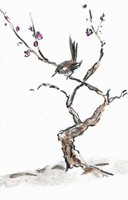 Plum Blossom