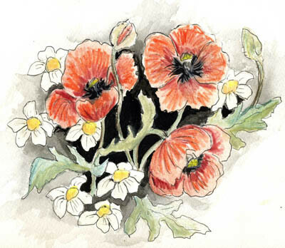 Poppies Watercolor and Ink  Watercolor art, Art painting, Watercolor and  ink