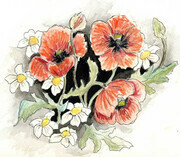 Poppy and Daisies - watercolor pencil and ink