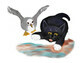Seagull Chases Kitten on the Beach
