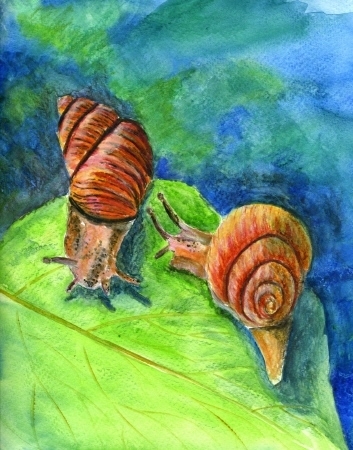 Two Snails