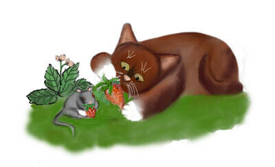 Strawberries for Mouse and Kitten
