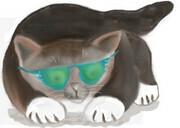 Sunglasses Cat