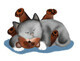 Teddy Bear Pillow for Gray Kitten