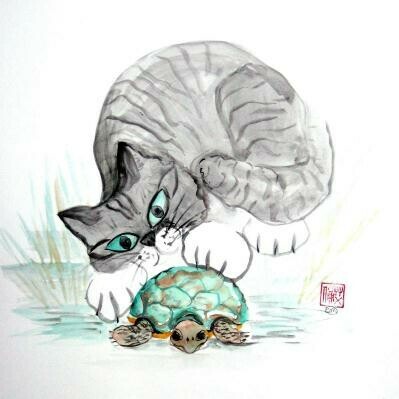Turtle & Cat