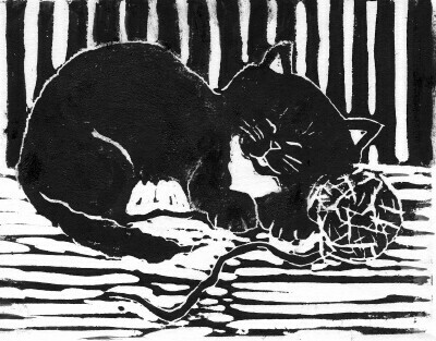 Yarn Cat Nap